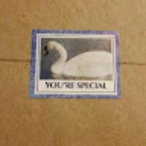 Meet your Posher, Ellen